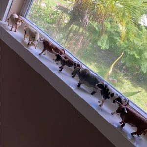 Miniature Cow collection